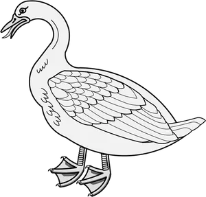 Line Drawing Goose Illustration PNG Image