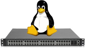 Linux Penguinon Server Hardware PNG Image