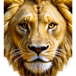 Lion Face Close-up Png 10 PNG Image