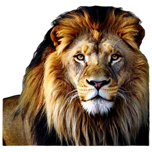 Lion Of Judah In Splendor Png Uoh PNG Image