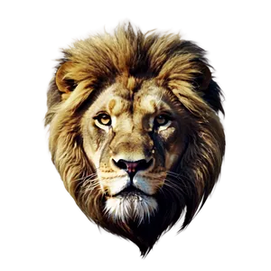 Lion Of Judah Png 06262024 PNG Image