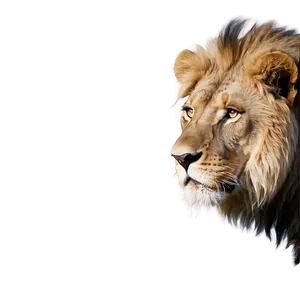 Lion Pride Safari PNG Yow28 PNG