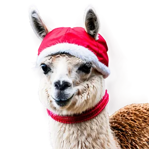 Llama With Hat Png Rvn16 PNG Image