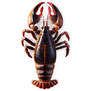 Lobster Drawing PNG 05212024 PNG