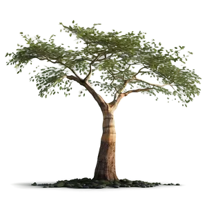 Lone Acacia Tree Savanna Png 58 PNG Image