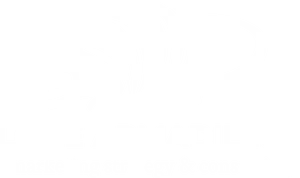 Lone Armadillo Marketing Logo PNG Image