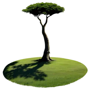 Lone Tree Shadow Png Ste PNG Image