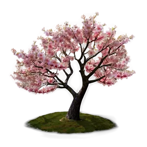 Lonely Cherry Tree Png Vaq PNG Image