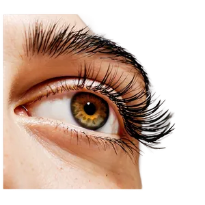 Long Eyelash Extensions Png Qac PNG Image