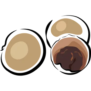 Longan Fruit Illustration PNG Image