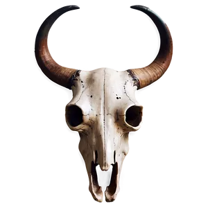 Longhorn Bull Skull Symbol Png 06292024 PNG Image