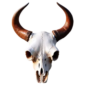 Longhorn Bull Skull Symbol Png Unt PNG Image