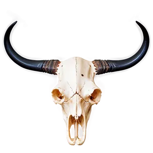 Longhorn Skull In Desert Scene Png Nfk43 PNG Image