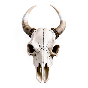 Longhorn Skull With Feathers Png Wfj PNG Image