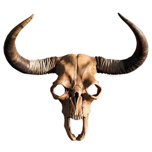 Longhorn Skull With Horns Png 18 PNG Image