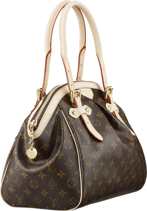 Louis Vuitton Monogram Handbag Isolated PNG Image