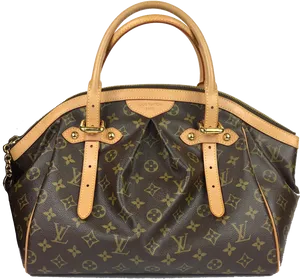 Louis Vuitton Monogram Handbag PNG Image