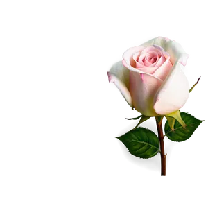 Lovely Rose Artwork Png 2 PNG Image