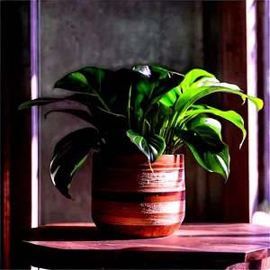 Low Light Indoor Plants Png Pfj PNG Image