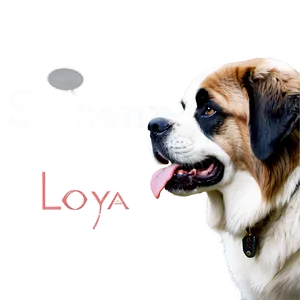 Loyal St Bernard Companion Png 75 PNG Image