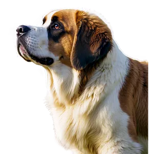 Loyal St Bernard Companion Png Ydo27 PNG Image