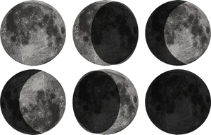 Lunar_ Phases_ Cycle PNG Image