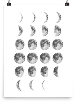 Lunar_ Phases_ Cycle_ Chart.png PNG