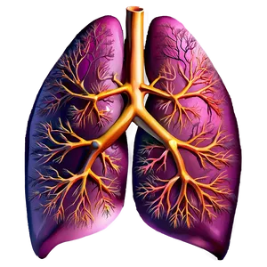 Lung Regeneration Research Png Dsl28 PNG Image