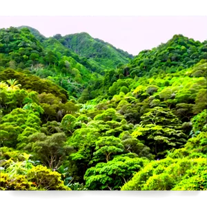 Lush Green Forest Png Gvd PNG Image