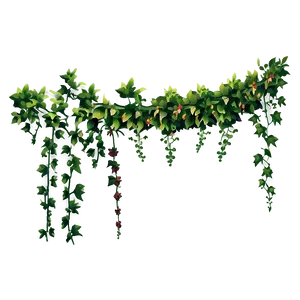 Lush Green Vine Decoration PNG Image