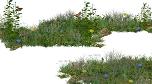 Lush_ Meadow_ Scene PNG