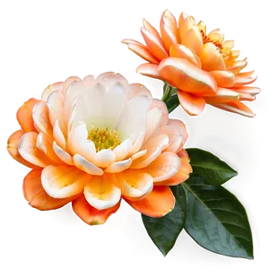 Lush Orange Bloom Png 48 PNG Image