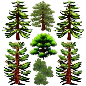 Lush Pine Tree Forest Png Aow95 PNG Image