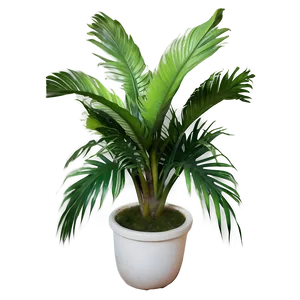 Lush Tropical Plant Png Guy PNG Image