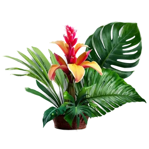 Lush Tropical Plants Png 88 PNG Image