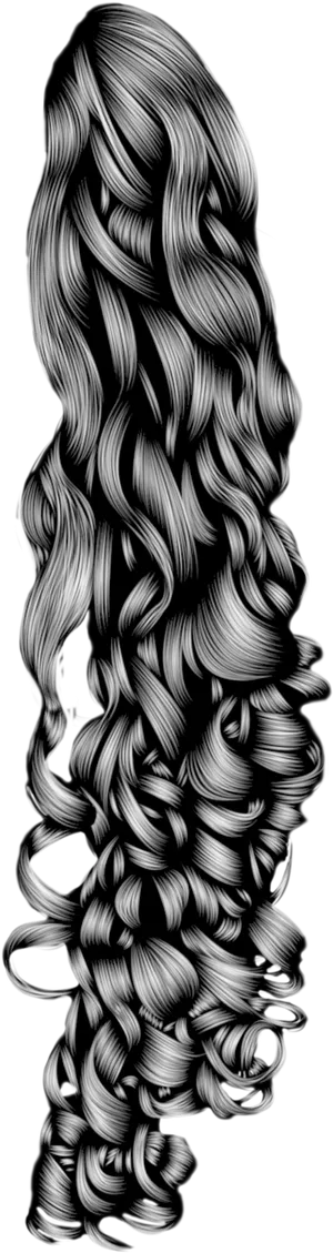 Luxurious Curly Hair Illustration PNG Image