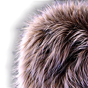 Luxury Fur Texture Png Knr PNG Image