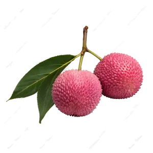 Lychee Pink Flesh Png 06252024 PNG Image