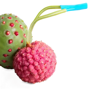 Lychee Summer Refreshment Png 59 PNG Image