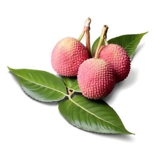 Lychee With Leaf Png Qua PNG Image