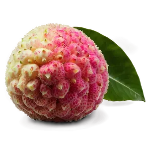 Lychee With Leaf Png Qvs21 PNG Image