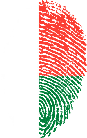 Madagascar Flag Fingerprint PNG Image