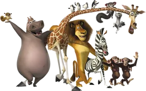 Madagascar Movie Characters PNG Image