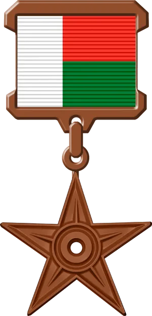 Madagascar Movie Star Medal PNG Image