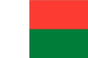 Madagascar National Flag PNG Image