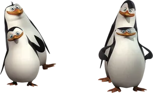 Madagascar_ Penguins_ Posing PNG Image