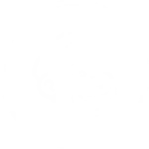 Mailchimp Logo Blackand White PNG Image