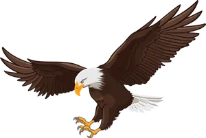 Majestic Bald Eagle In Flight PNG Image