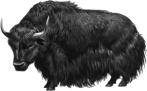 Majestic Bison Illustration PNG Image