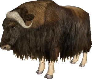 Majestic Bison Isolated.png PNG Image